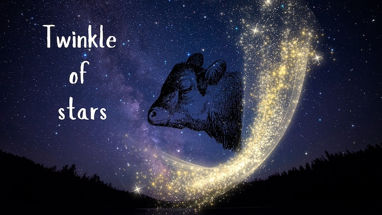 title, cow, and starry sky