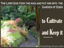 Jehovah
