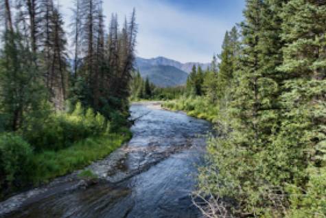 wild river