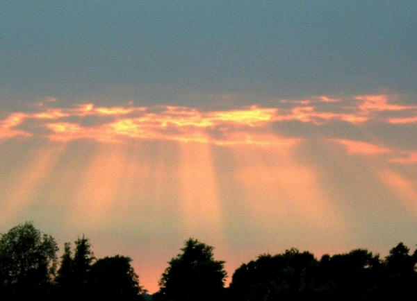 Secret of Sanctity and Happiness