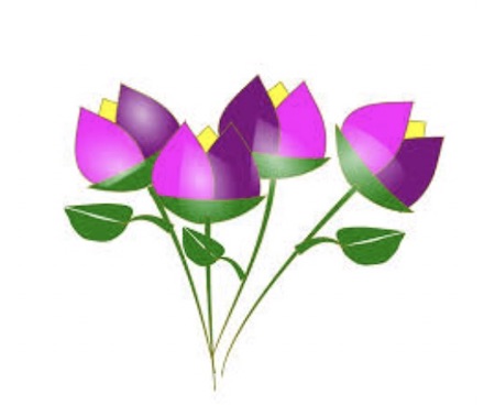 tulips