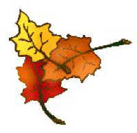 the Dance of the Autumn Leaves