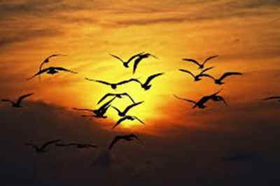 unchanging love