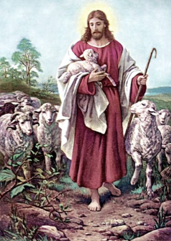 Jesus and sheep
