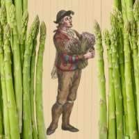 asparagus seller and asparagus