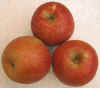Apples, Harrell's Red