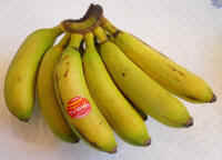 Bananas, Nino