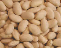 Beans, Great Northern
