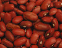 Beans, Small Red