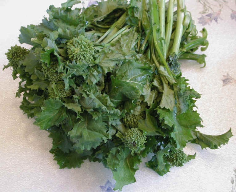 Broccoli Rabe, Broccoli Raab, or Rapini