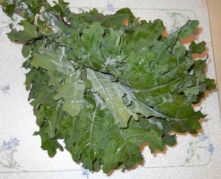 Russian Kale