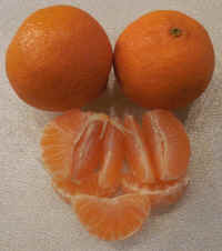 Mardarin Oranges