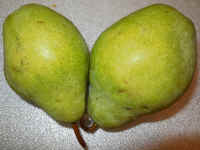 Pears, Bartlett