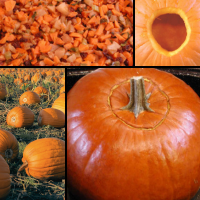 stuffed pumpkin