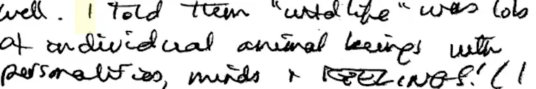 handwritten words