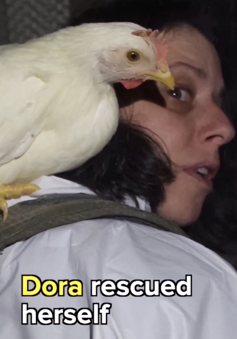 Chicken Dora