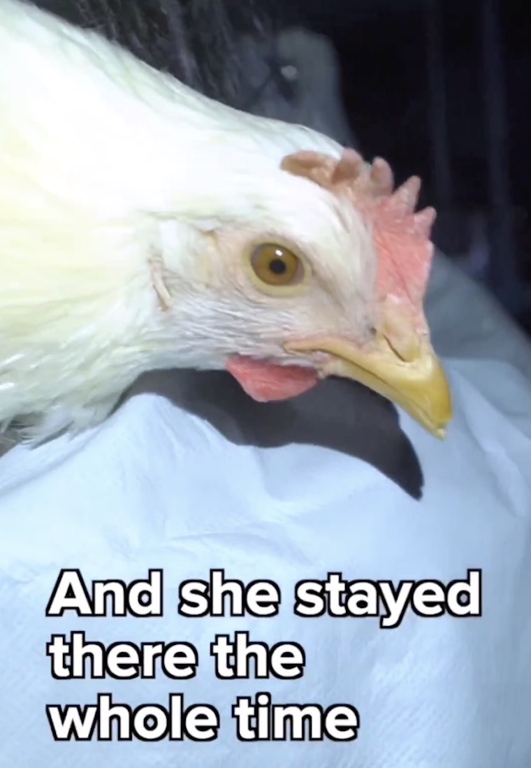 Chicken Dora