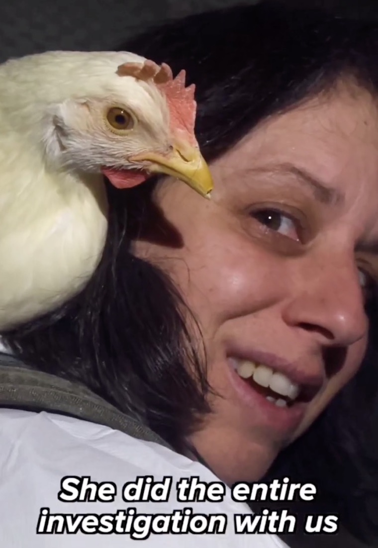 Chicken Dora