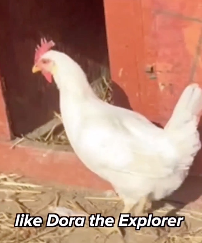 Chicken Dora