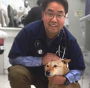 Somang Korea dog meat market rescue