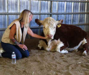 Aretha cow rescue Kris depression