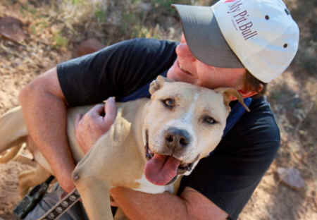 pit bull, pitbull, Best Friends, Michael Vick