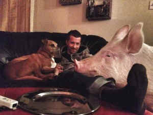Esther wonder pig