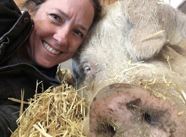 Pig Andy