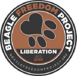 Shanon,Keith,beagle freedom lab