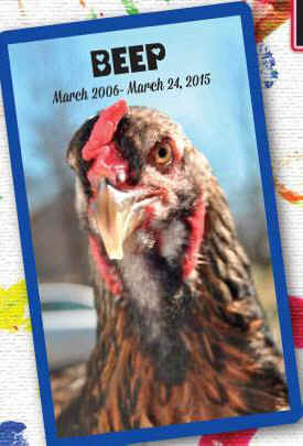 Beep pet chicken