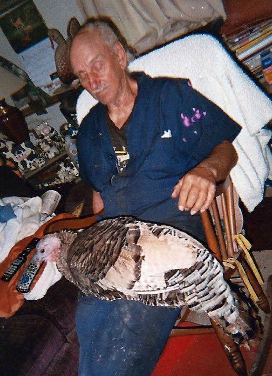 Turkey Cutie