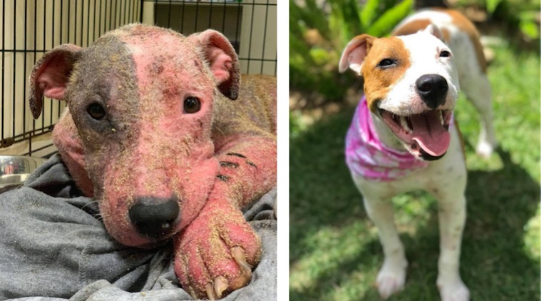 Before and After
