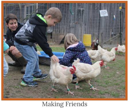 kids and chickens