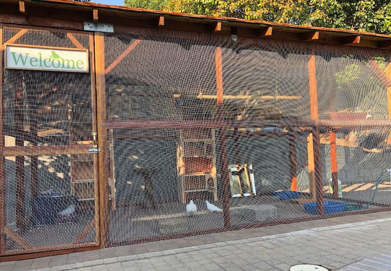 Aviary
