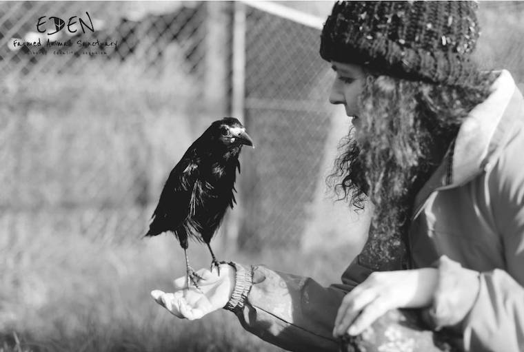 Sandra Higgins Razzle