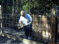 a-hollywood-ron_small