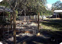 a-hollywood-sanct_small