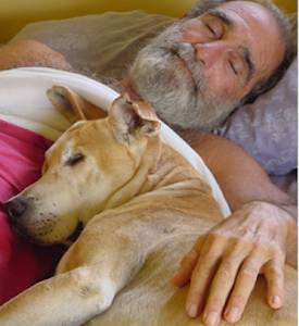 rescued dog valiant