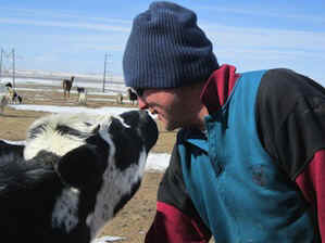 Pierre blind cow rescue