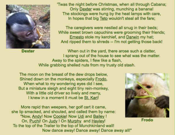 monkey christmas