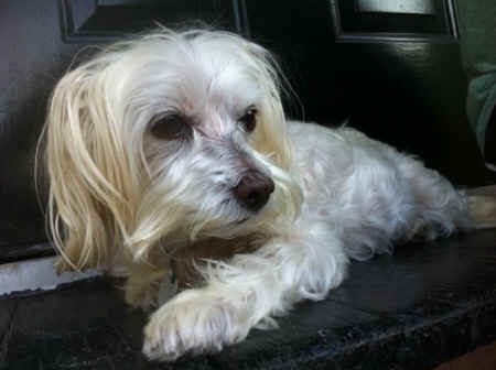 Anteneh,Roba,Fund Africa,Nikita,loss