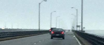 chicken on freeway