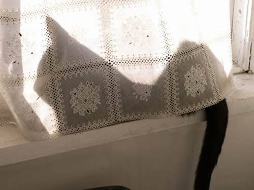 Silhouette Cat Sylvestra