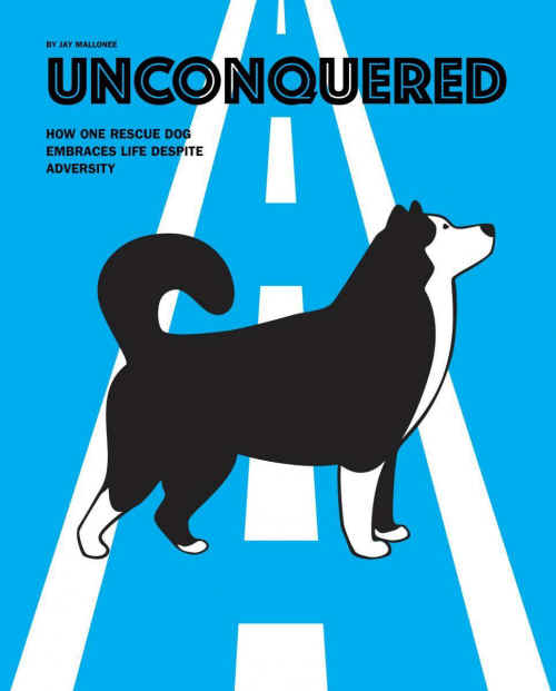 unconquered rescued dog