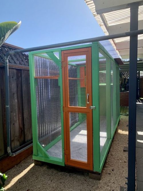 Pigeon aviary