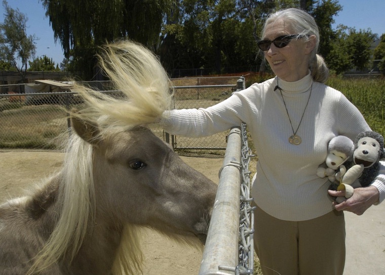 Jane Goodall