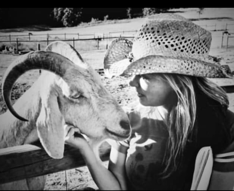 Goat Billy Blue Eyes