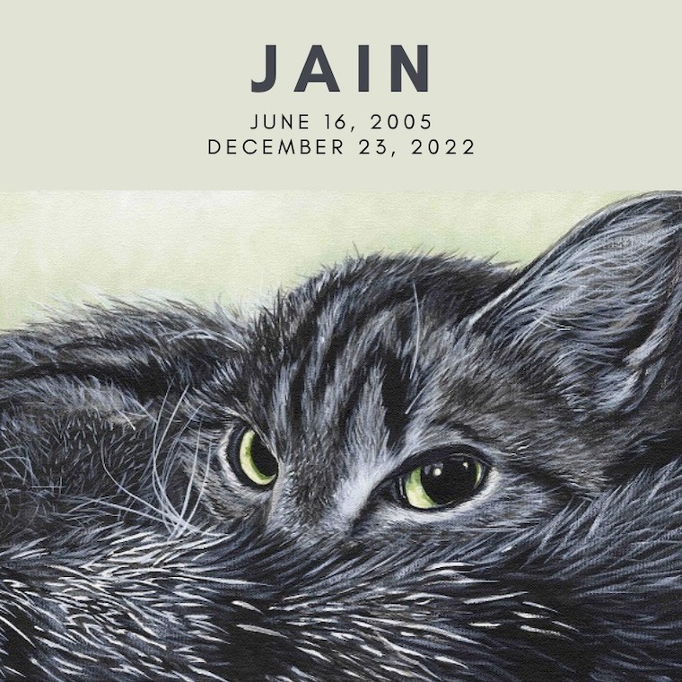 Cat Jain