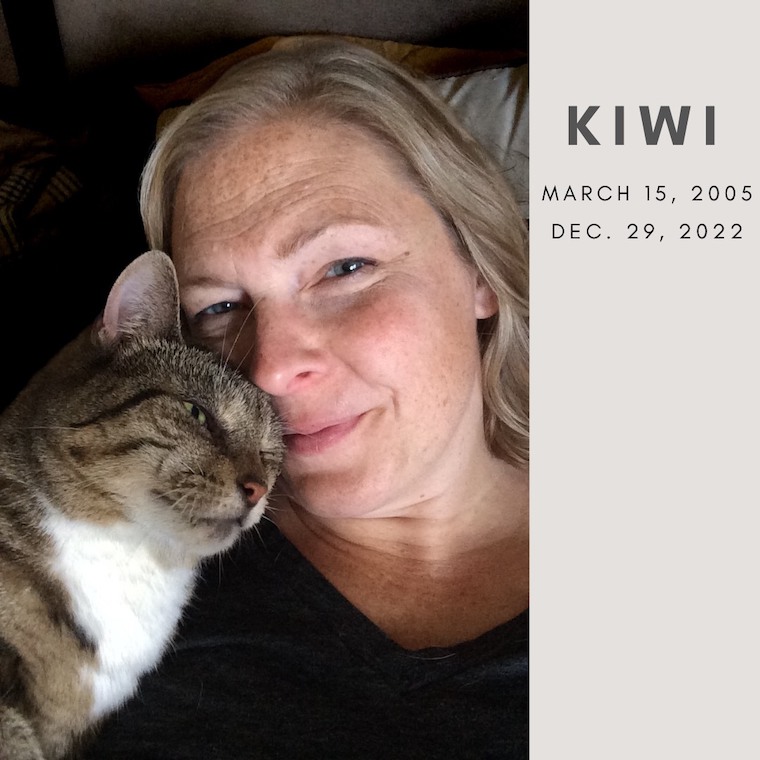 Cat Kiwi