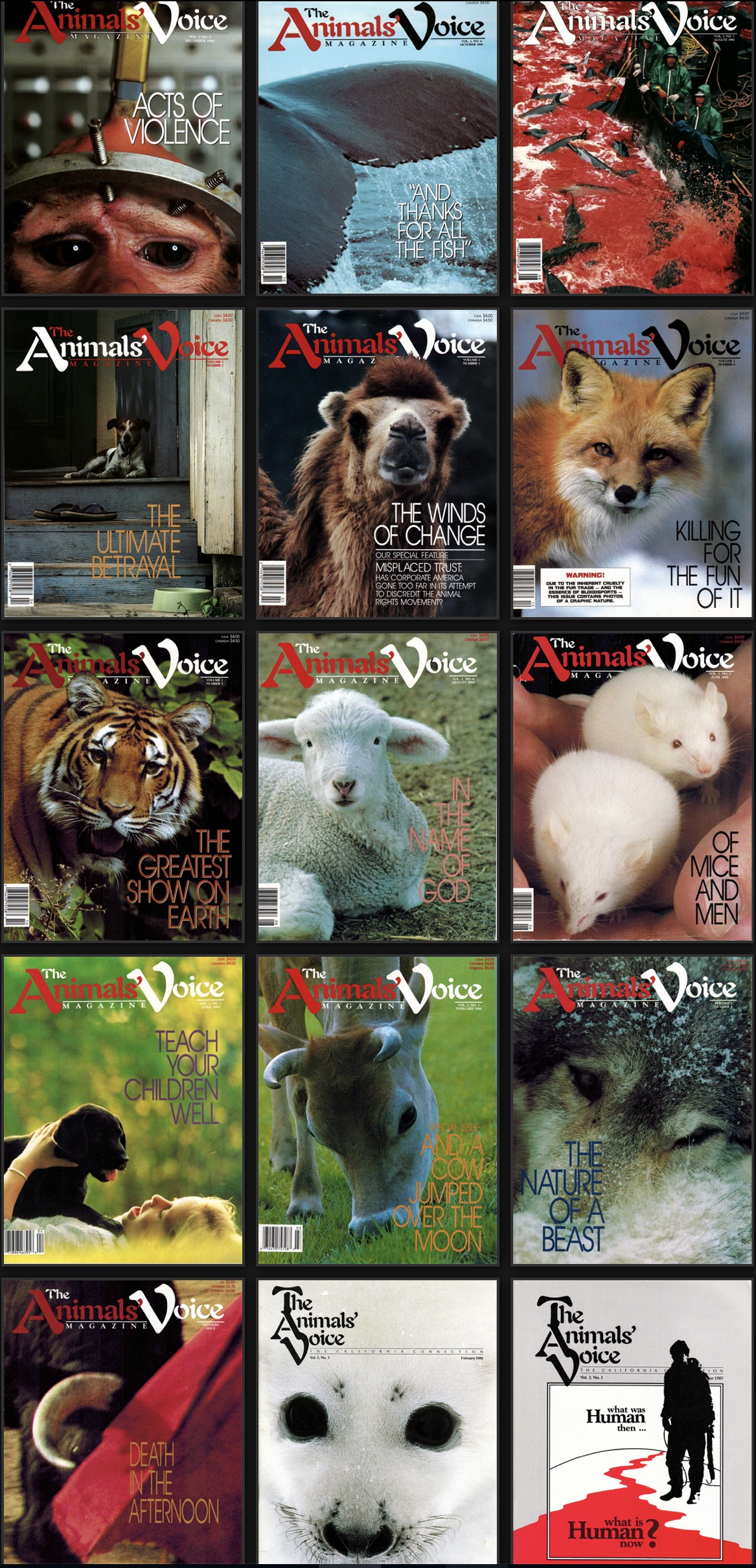 Animals Voice Magazines